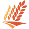 CornPOS logo
