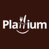 Plattium logo